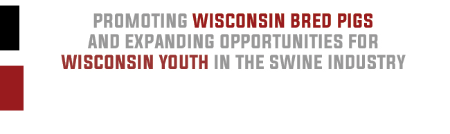 Promoting Wisconsin bred pigs and expanding opportunities for Wisconsin youth in the swine industry