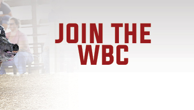 Join The WBC